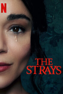 دانلود فیلم The Strays 2023